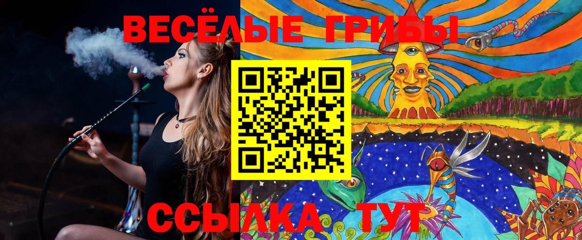 Галлюциногенные грибы прущие грибы Дедовск